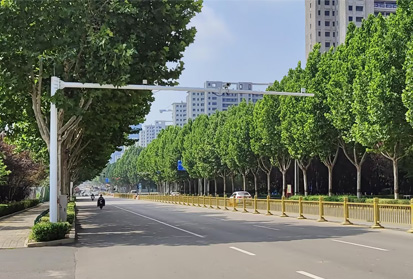 黑煙車電子抓拍系統介紹，黑煙車電子抓拍有哪些特點-深邦集團