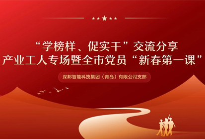 深邦黨支部開展“學(xué)榜樣 促實干”主題交流活動