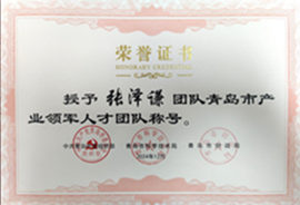 青島市領軍人才團隊
